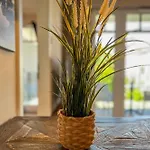 Appartement Baltischer Hof 35