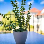 Appartement Baltischer Hof 35