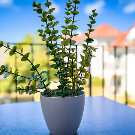Appartement Baltischer Hof 35
