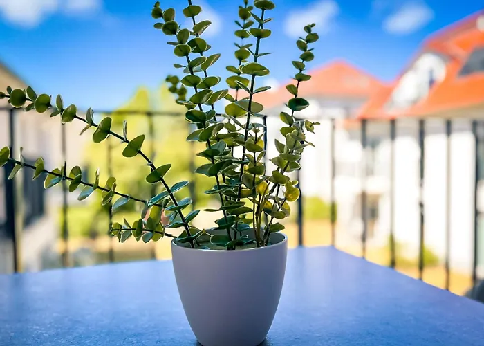 Apartman Baltischer Hof 35